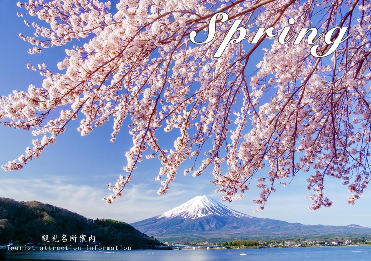 Station Villa Plaisir Mt. Fuji Fujikawaguchiko Exterior photo